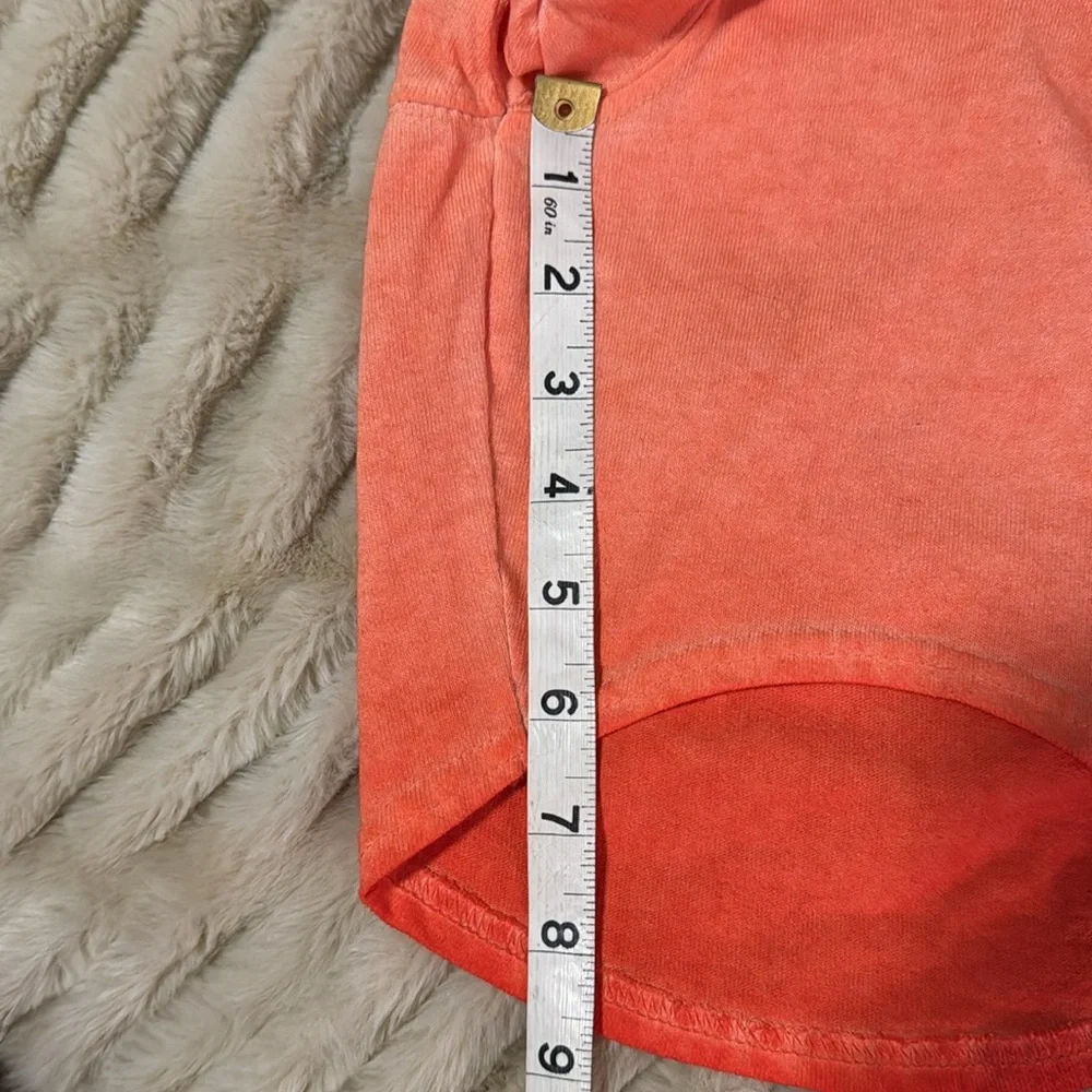 Disneyland Orange ombré Pet T-Shirt (small)